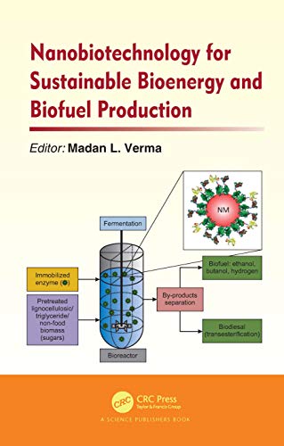 Stock image for Nanobiotechnology for Sustainable Bioenergy and Biofuel Production for sale by Chiron Media