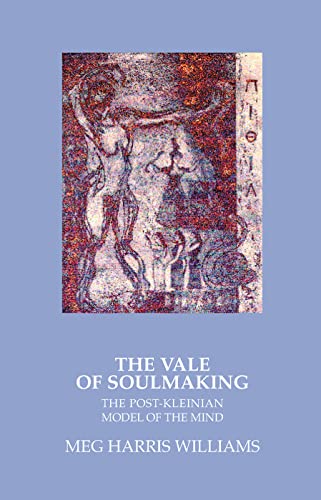 9780367105358: The Vale of Soulmaking: The Post-kleinian Model of the Mind