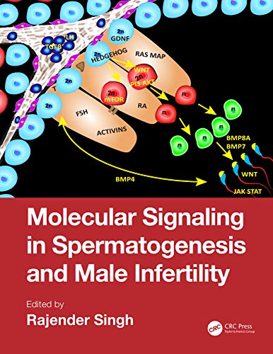 Stock image for Molecular Signaling In Spermatogenesis And Male Infertility (Hb 2020) for sale by Basi6 International