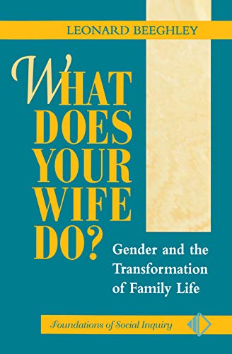 Stock image for What Does Your Wife Do?: Gender And The Transformation Of Family Life for sale by Chiron Media