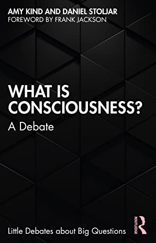 Stock image for What is Consciousness? (Little Debates about Big Questions) for sale by GF Books, Inc.
