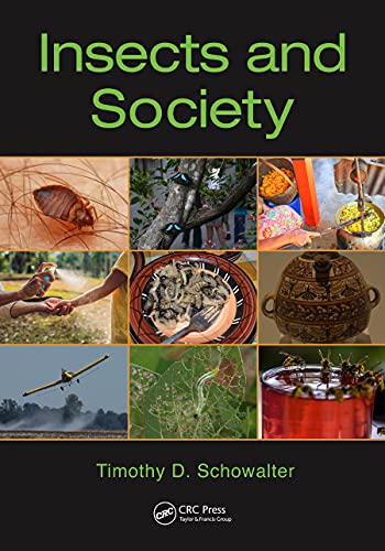 Stock image for Insects and Society for sale by Books Puddle