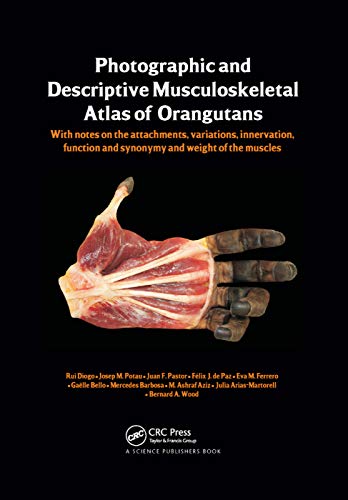 Beispielbild fr Photographic and Descriptive Musculoskeletal Atlas of Orangutans: with notes on the attachments, variations, innervations, function and synonymy and weight of the muscles zum Verkauf von Monster Bookshop