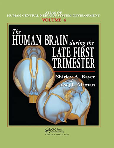 Stock image for The Human Brain During the Early First Trimester for sale by Blackwell's