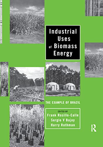 Beispielbild fr Industrial Uses of Biomass Energy: The Example of Brazil zum Verkauf von Blackwell's