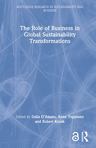 Imagen de archivo de The Role of Business in Global Sustainability Transformations a la venta por Blackwell's