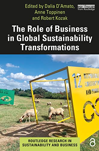 Imagen de archivo de The Role of Business in Global Sustainability Transformations a la venta por Blackwell's