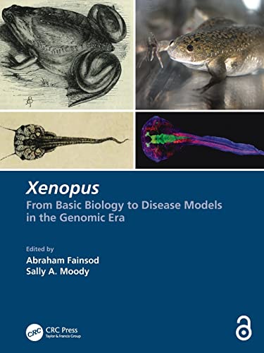 Stock image for Xenopus: From Basic Biology to Disease Models in the Genomic Era for sale by Blackwell's