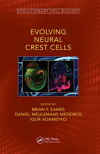 Beispielbild fr Evolving Neural Crest Cells zum Verkauf von Blackwell's