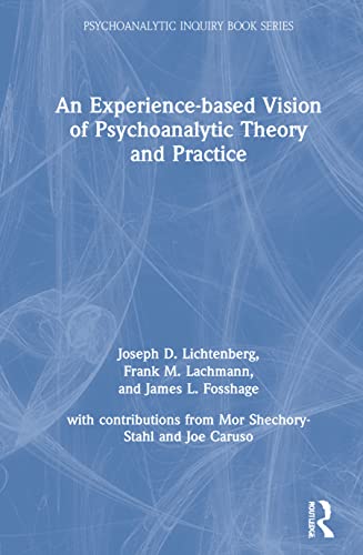 Imagen de archivo de An Experience-Based Vision of Psychoanalytic Theory and Practice a la venta por Blackwell's