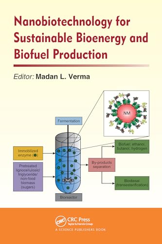 Stock image for Nanobiotechnology for Sustainable Bioenergy and Biofuel Production 1ED for sale by Basi6 International