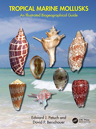 Beispielbild fr Tropical Marine Mollusks: An Illustrated Biogeographical Guide zum Verkauf von Books Puddle