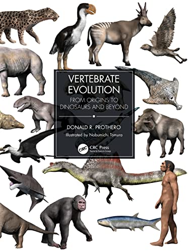 Beispielbild fr Vertebrate Evolution: From Origins to Dinosaurs and Beyond zum Verkauf von Revaluation Books