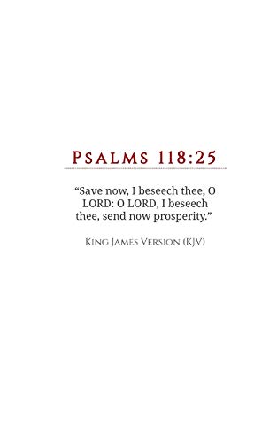 Stock image for Send Now Prosperity: Psalms 118:25: The Prayer of David for sale by Ria Christie Collections
