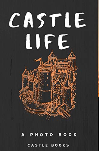Beispielbild fr Castle Life zum Verkauf von Buchpark