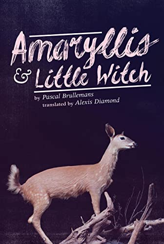 Stock image for Amaryllis & Little Witch for sale by Kennys Bookstore