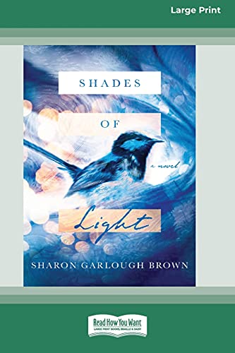 Stock image for Shades of Light: A Novel [Standard Large Print 16 Pt Edition] for sale by Chiron Media
