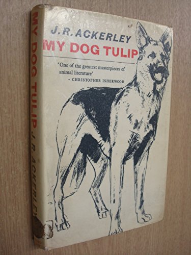 9780370003870: My Dog Tulip