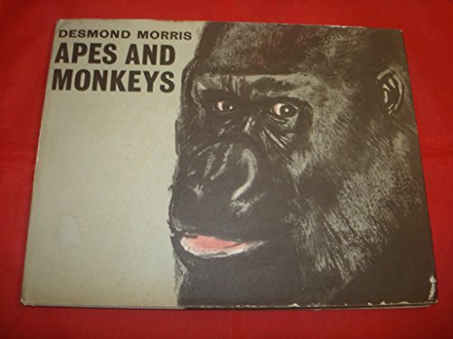 Apes and Monkeys (Natural Science Picture Books) (9780370008547) by Morris, Desmond; Driscoll, Barry