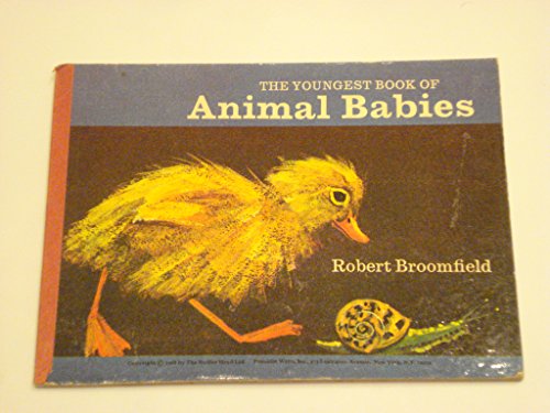 Animal Babies (9780370020082) by Broomfield, Robert