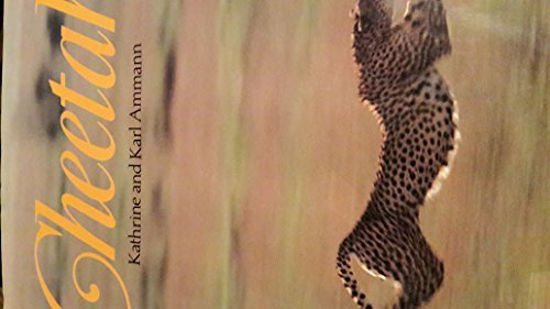 Cheetah (9780370308500) by Karl Ammann; Katherine Ammann; Stefanie Powers
