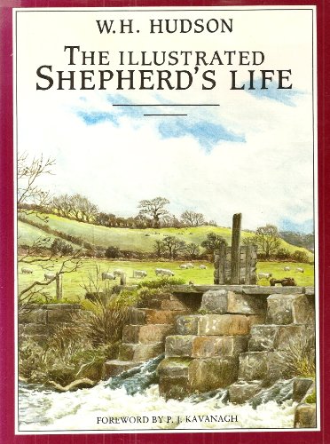 9780370311012: Illustrated Shepherd's Life