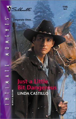 Imagen de archivo de Just A LIttle Bit Dangerous (Silhouette Intimate Moments) a la venta por Reliant Bookstore