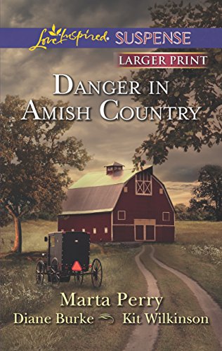 Imagen de archivo de Danger in Amish Country : Fall from Grace Dangerous Homecoming Return to Willow Trace a la venta por Better World Books