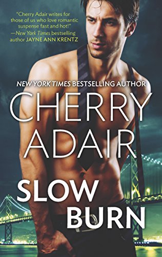 Beispielbild fr Slow Burn : Seducing Mr. Right Take Me zum Verkauf von Better World Books