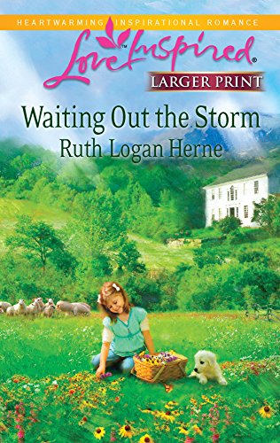 9780373814893: Waiting Out the Storm (Love Inspired Large Print)