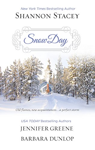 Imagen de archivo de Snow Day: Heart of the StormSeeing RedLand's End (Harlequin Anthologies) a la venta por Ravin Books