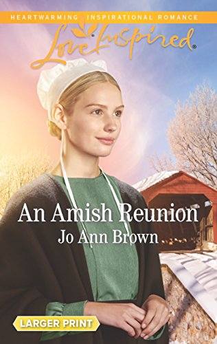 9780373899036: An Amish Reunion (Amish Hearts)