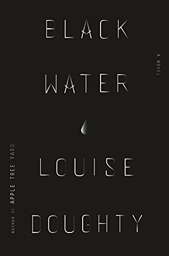 Beispielbild fr Black Water: A Novel zum Verkauf von More Than Words