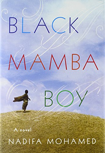 9780374114190: Black Mamba Boy