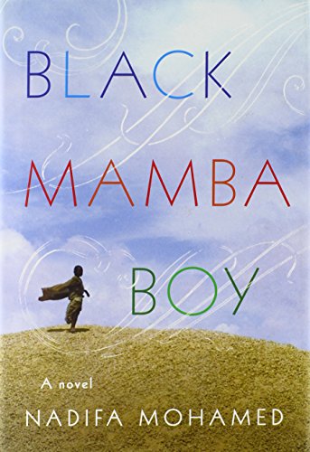 9780374114190: Black Mamba Boy: A Novel