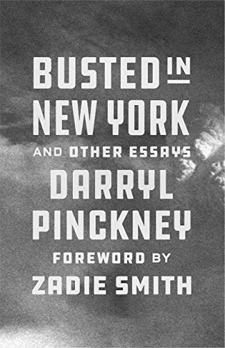 Stock image for Busted in New York and Other Essays for sale by More Than Words