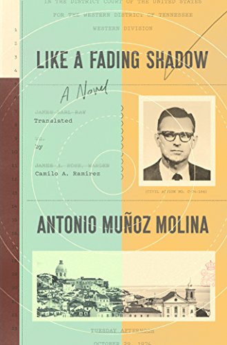 Beispielbild fr Like a Fading Shadow : A Novel zum Verkauf von Better World Books