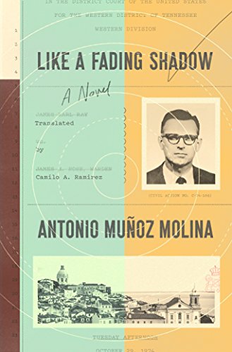 Imagen de archivo de Like a Fading Shadow : A Novel a la venta por Better World Books