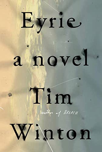 9780374151348: Eyrie: A Novel
