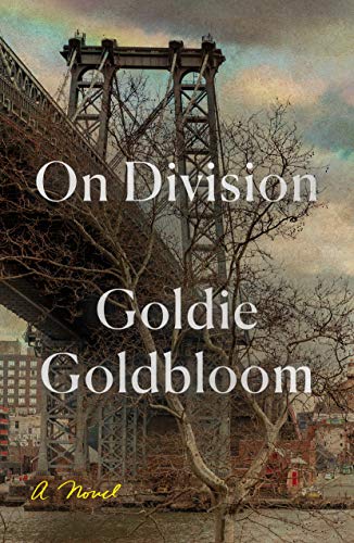 Beispielbild fr On Division: A Novel zum Verkauf von Your Online Bookstore