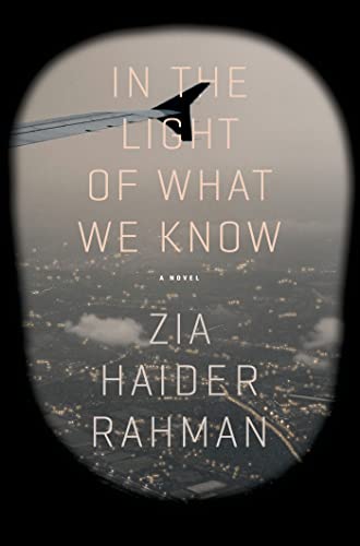 Stock image for In the Light of What We Know: A Novel for sale by More Than Words