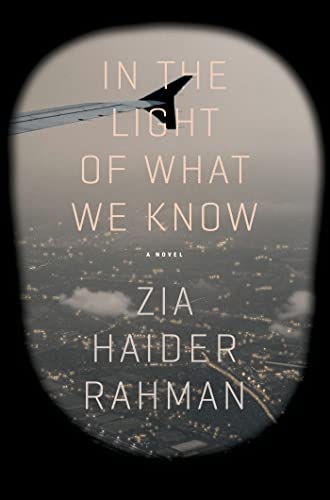 Stock image for In the Light of What We Know: A Novel for sale by SecondSale