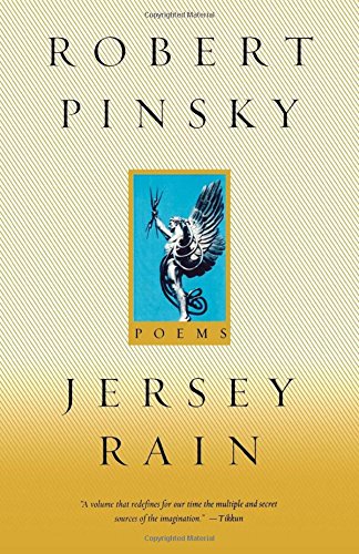 9780374178871: Jersey Rain