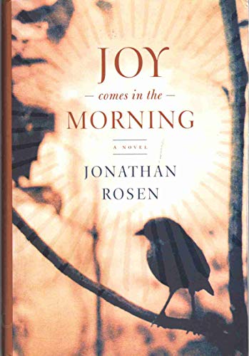 Beispielbild fr Joy Comes in the Morning : A Novel zum Verkauf von Better World Books