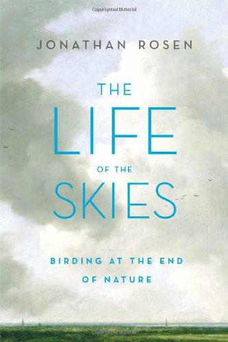 Beispielbild fr The Life of the Skies zum Verkauf von Better World Books