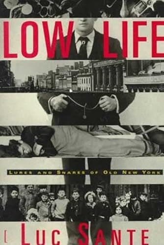 Imagen de archivo de Low Life a la venta por ThriftBooks-Dallas