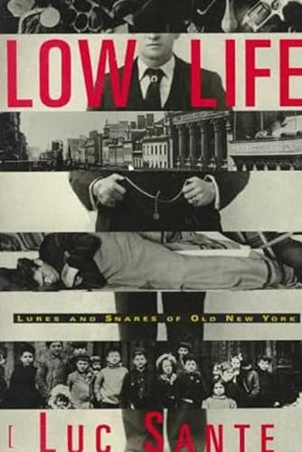 9780374194147: Low Life: Lures and Snares of Old New York