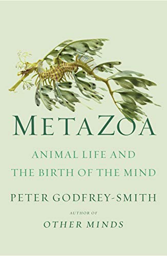 9780374207946: Metazoa: Animal Life and the Birth of the Mind