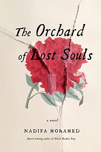 Imagen de archivo de The Orchard of Lost Souls a la venta por Better World Books