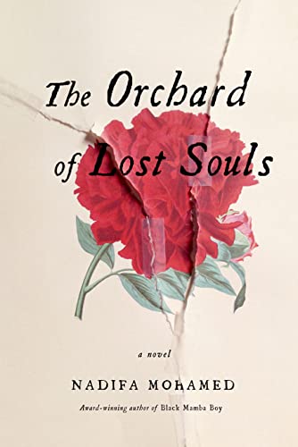 Stock image for The Orchard of Lost Souls: A Novel for sale by HPB-Diamond